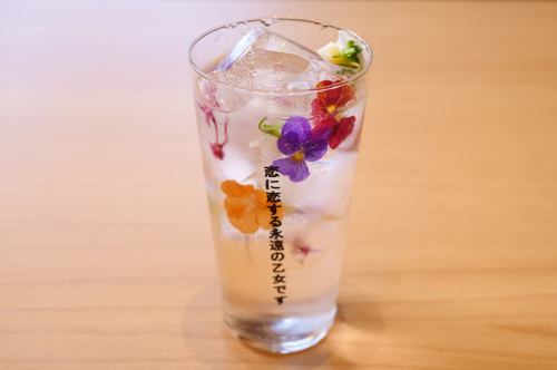 Fruit Gin and Tonic with Elderflower