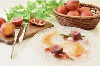 Roast duck fillet (2 servings)