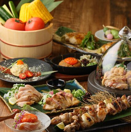 大山地鶏を刺し・炭火焼鳥・一品で多彩にご提供。ヘルシーでランチ・女子会にも最適◎