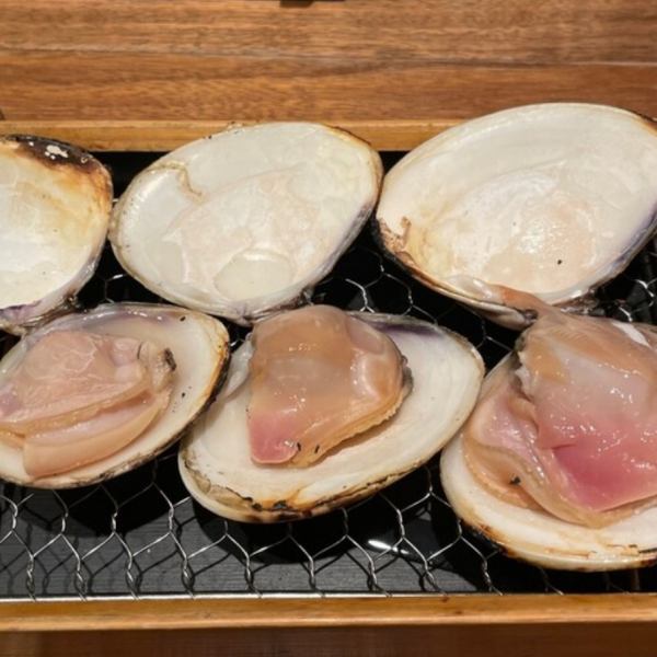 하마 구리 먹기 비교 5년 7년 10년
