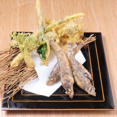 Tempura of Japanese whiting and wild vegetables from Fukushima