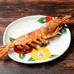 Red shrimp