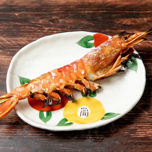 Red shrimp