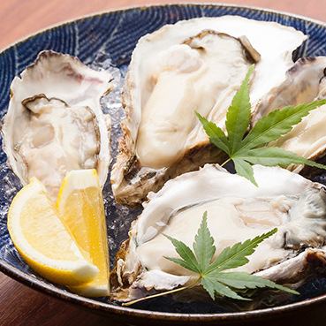 【美味しい生牡蠣を一年中】季節ごとに旬の牡蠣をお楽しみいただけます!