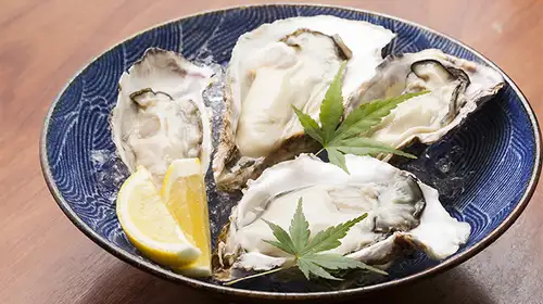 生牡蠣(岩手 米崎)
