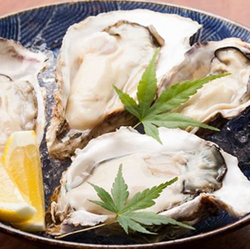 新鮮な食材が魅力！