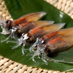 Firefly squid sashimi