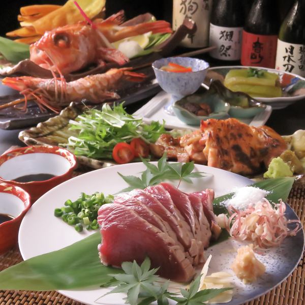 【大人気】店主厳選のお料理。職人の技が光るお料理をご覧ください。