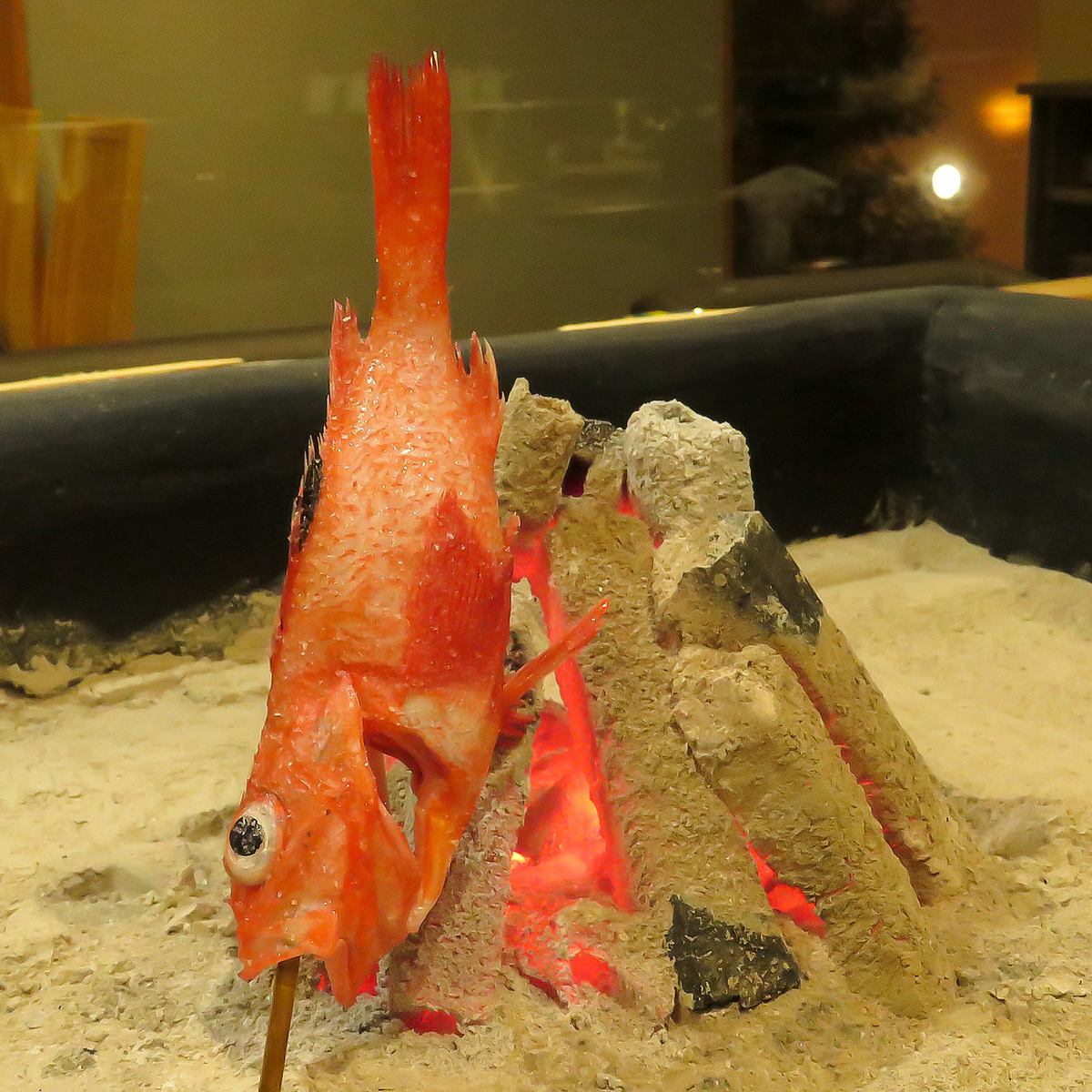 浜松で魚×肉！本格炉端焼きを楽しめる居酒屋