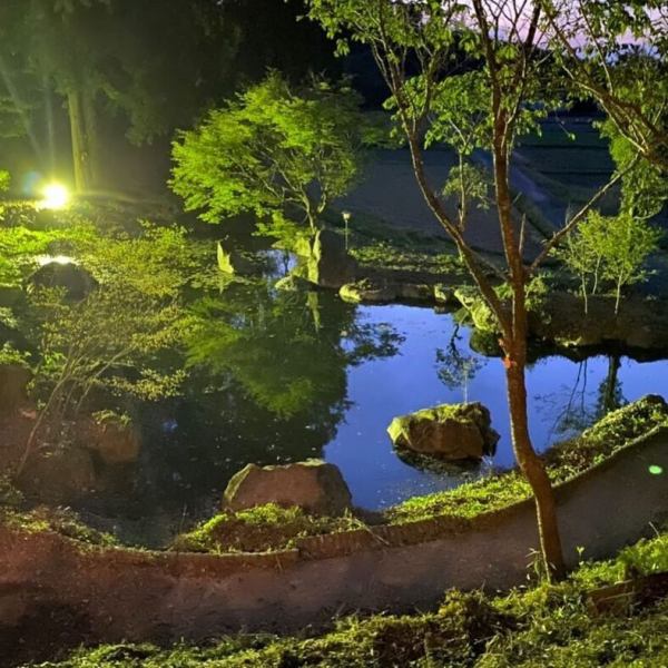 鮮やかな緑が美しい庭園は見てるだけでも癒されるとっておきの場所です。水面に映る青々とした木々や風に揺れる葉っぱの音は都会の喧騒を忘れさせてくれる空間です。美味しい創作和食料理や豊かな自然を心ゆくまで堪能できる贅沢を味わってください。季節ごとに四季折々の違った味わいが楽しめる庭園へ一度足を運んでみては