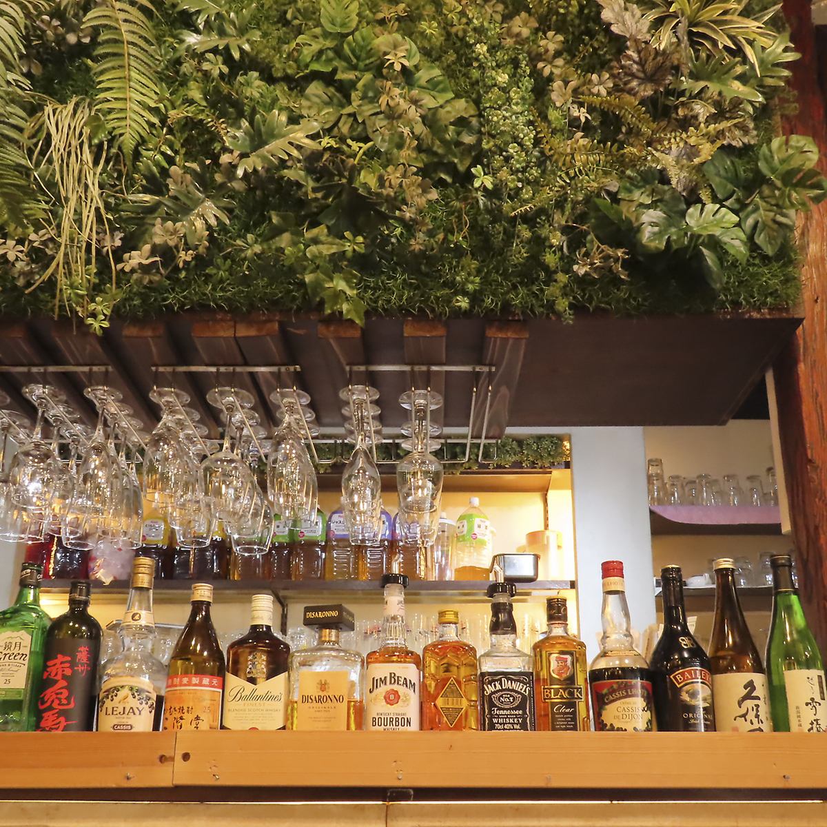 3000円で食べ飲み放題！満足度抜群のコスパ最強プラン☆