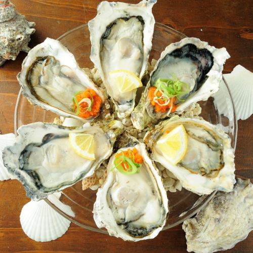 自慢の牡蠣料理が豊富