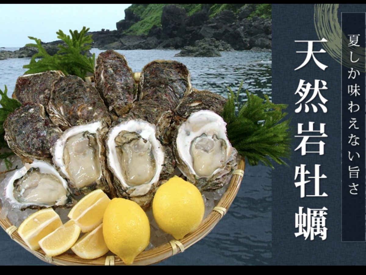 旬 徳島県産 特大 岩かき 入荷 徳島 魚一番 新 あらた