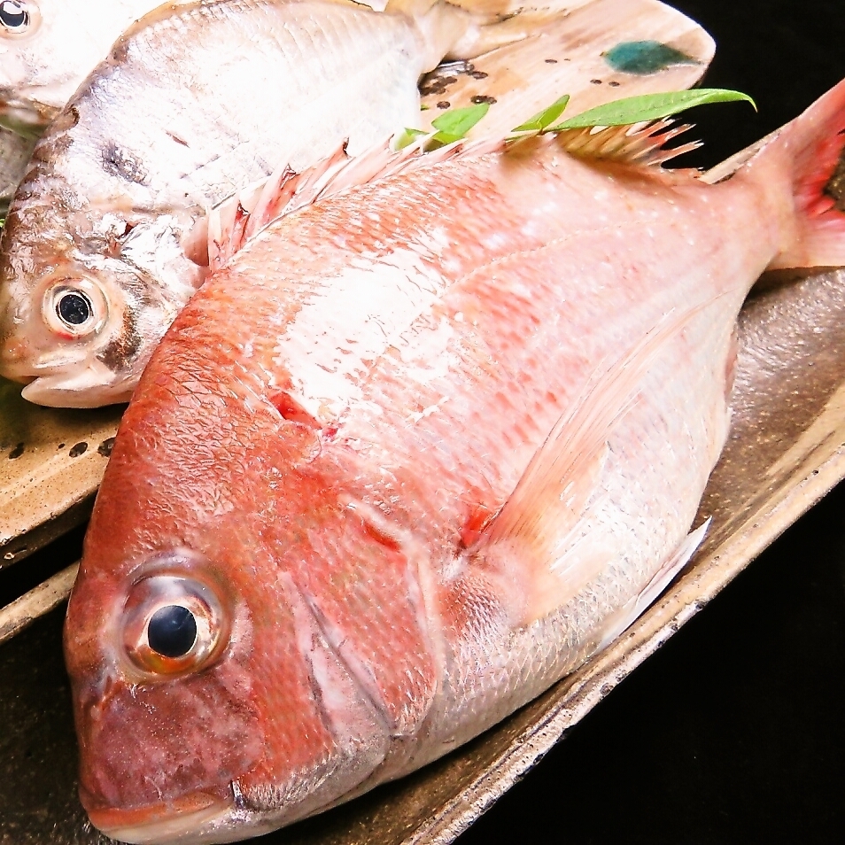 徳島の名物を味わう 阿波満喫コース 全8品3500円 税込 徳島 魚一番 新 あらた