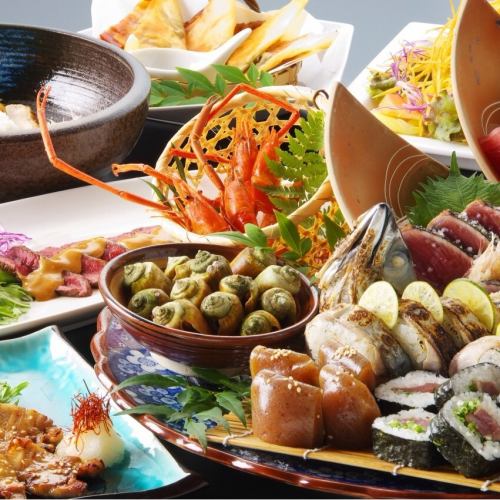 来自四国4县的美味Tokodori♪尽情享受高知各地区的美食