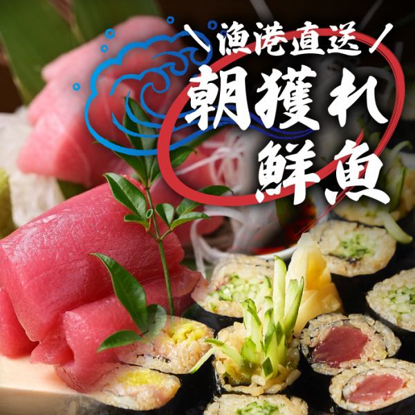 【漁港直送鮮魚】全国から直送!漁港直送の鮮魚を刺身や焼き魚で。テーブルを華やかに彩る!あて巻きの数々