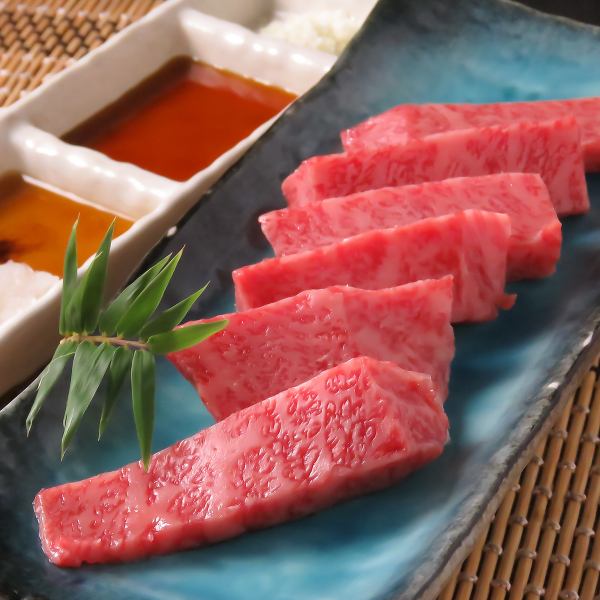 【とろける脂の旨み】A5ランク飛騨牛が中心！リブロース(塩・タレ) レギュラー