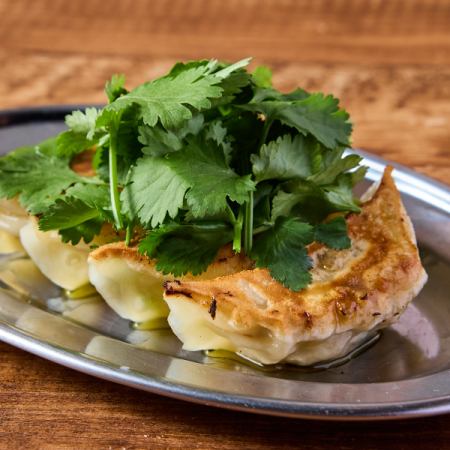 もりもりパクチー餃子