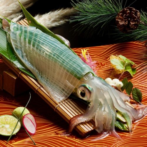 昼　大人気【呼子 イカ活き造り御膳】はこりこりの食感と透明感を楽しめます。後造りの天ぷらで美味しさ倍