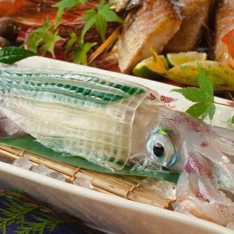 【接待・会食・ご宴会に】魚蔵コース　全11品　10000円(税込)  