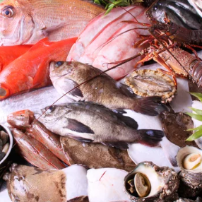 市場直送の三陸鮮魚たち。新鮮なお刺身と日本酒を是非どうぞ。