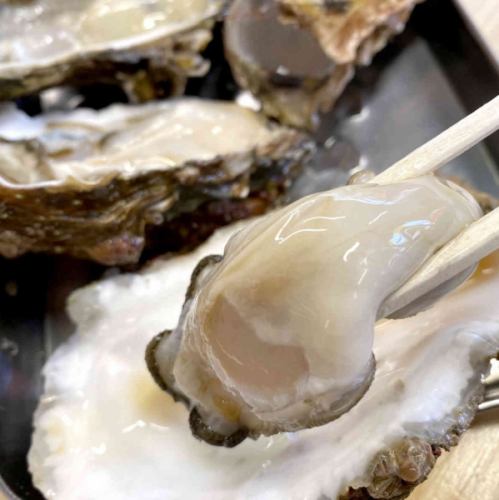 1 raw oyster from Hyogo prefecture