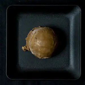 ほうじ茶アイス(黒蜜きな粉入り)