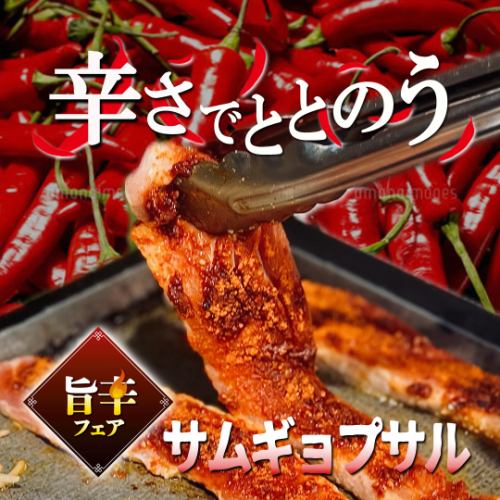 辛さでととのう!!旨辛サムギョプサルと韓国屋台料理40品食べ飲み放題プラン3,500円