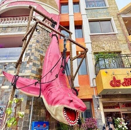 ピンクのサメが目印！