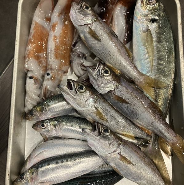 【店主自ら仕入れた、こだわりの地魚を使用◎】お刺身盛り合わせ