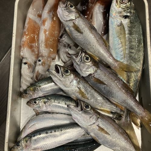 【店主自ら仕入れた、こだわりの地魚を使用◎】お刺身盛り合わせ