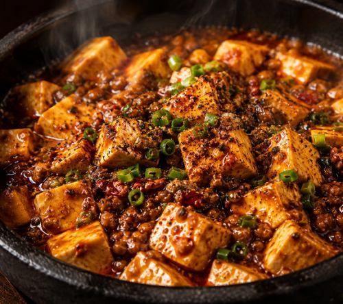 Spicy Mapo Tofu