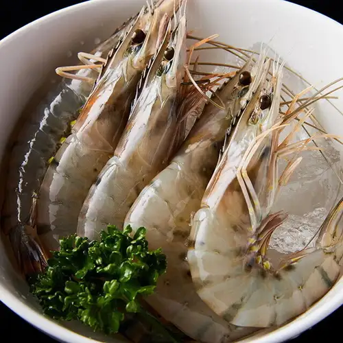 小海老(5匹)