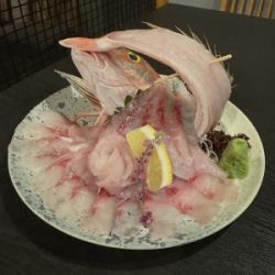 ホウボウ姿盛り