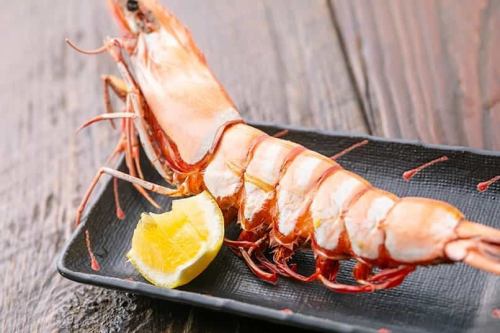 特大海老塩焼き