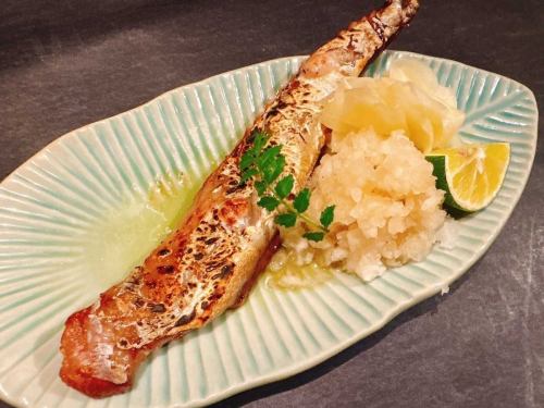 珍！かつおの腹皮山川干し