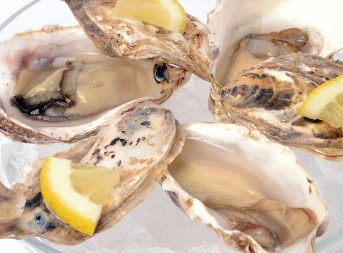 We also have raw oysters and clams.