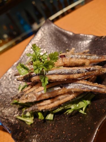 Deep-fried silver-stripe round herring