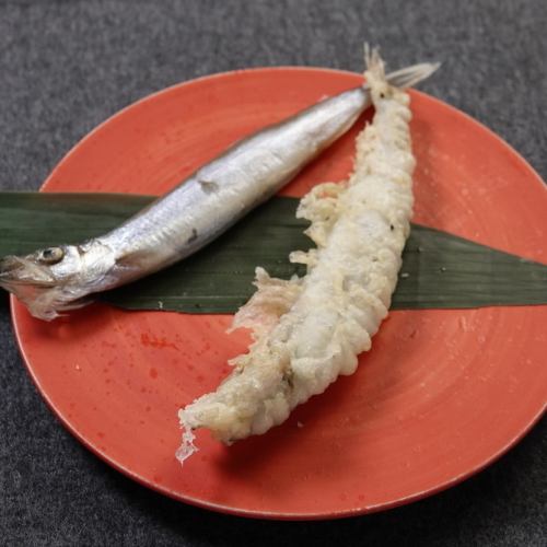 《Fish》 Shishamoten