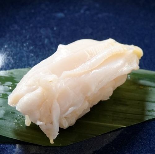 《Seafood sushi》Whelk shellfish