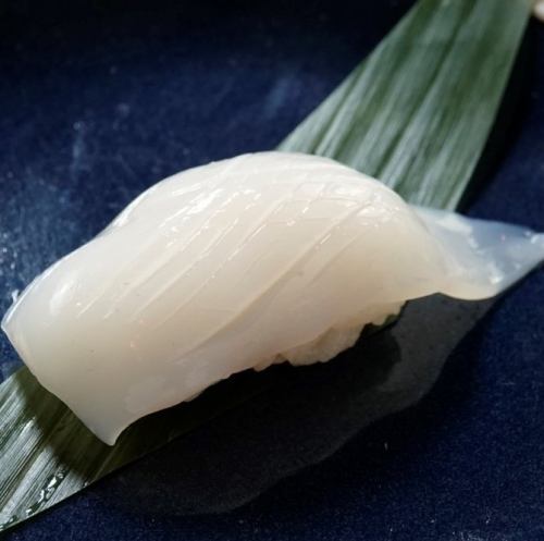 [Seafood sushi] Squid