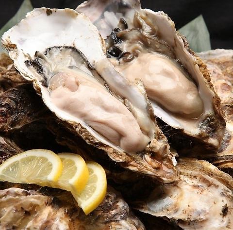 Outstanding freshness delivered directly from Akkeshi! Popular! "Oysters from Akkeshi"