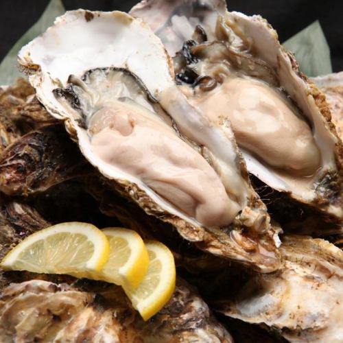 厚岸的烤牡蛎和蒸牡蛎。从厚岸佐藤水产直送，可以享受到饱满的口感。每周二、周四110日元！
