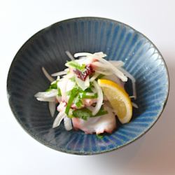 문어 부츠와 청지 그 상쾌하게 완화