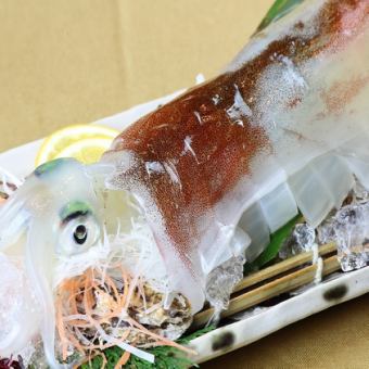 Limited time offer! Course with whole spear squid sashimi! 110 minutes of all-you-can-drink included, 8,500 yen (tax included)