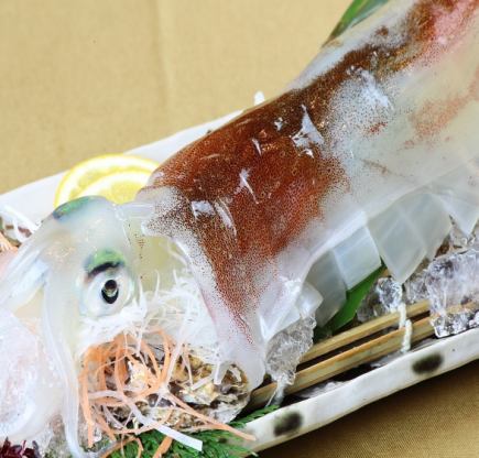 Limited time offer! Course with whole spear squid sashimi! 110 minutes of all-you-can-drink included, 8,500 yen (tax included)