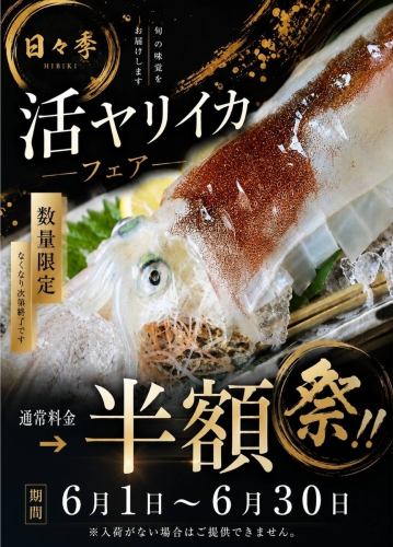 ヤリイカフェアー