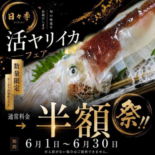 活ヤリイカフェアー!!6/1~6/30日迄
