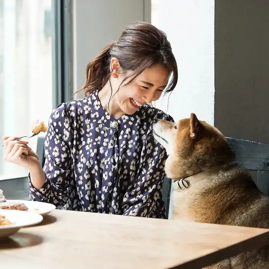 愛犬も一緒に贅沢な記念日ディナー。ドッグラン併設の居酒屋