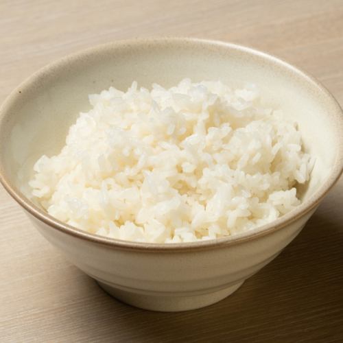 Rice: Regular size *Large size +110 yen (tax included)